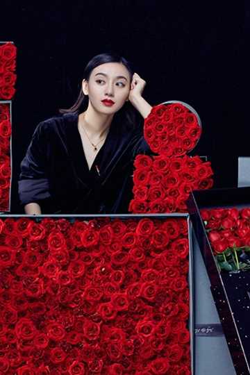 网站seo优化服务商