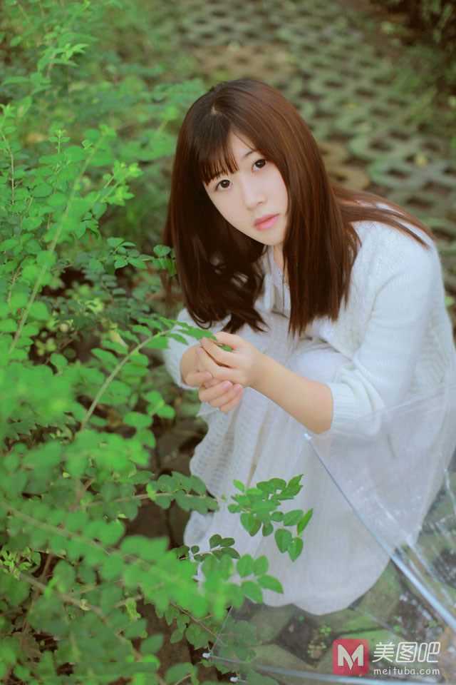 网站关键词优化推广