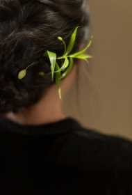 网站优化关键字