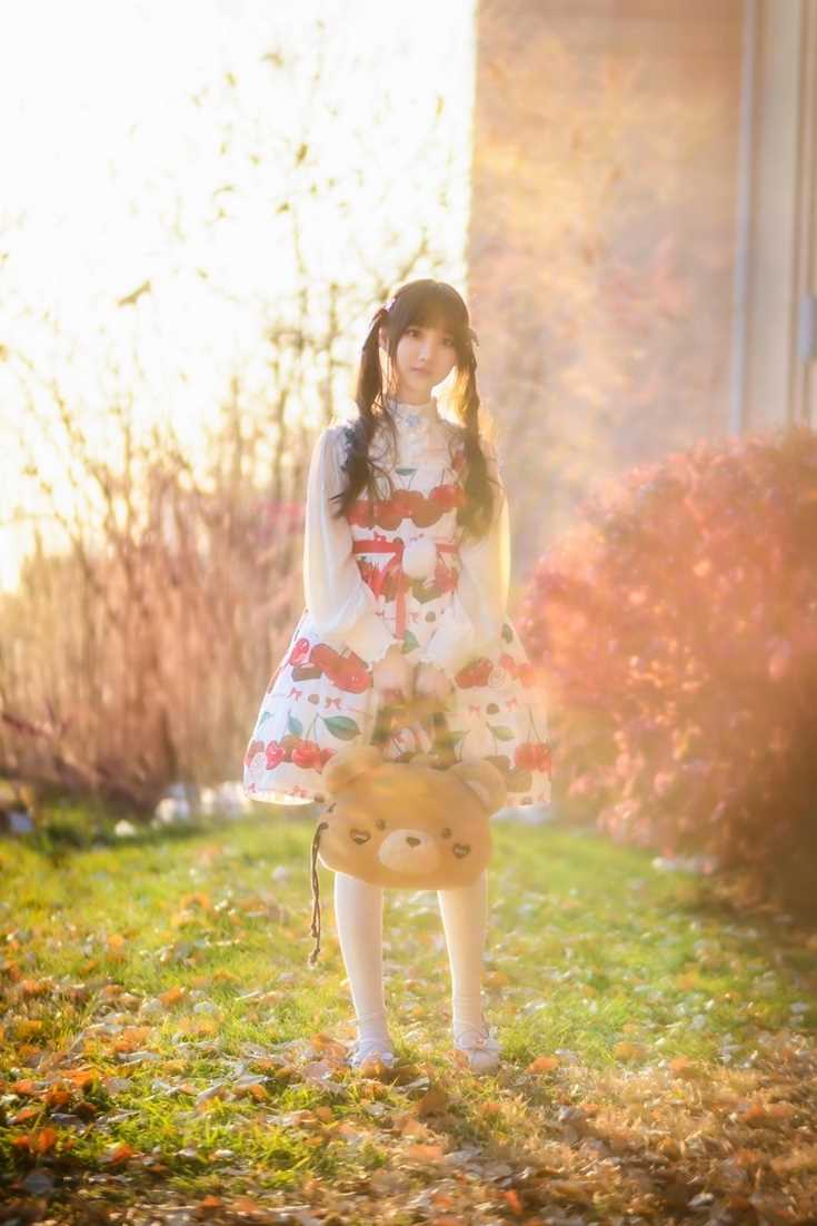 搜索引擎优化seo案例