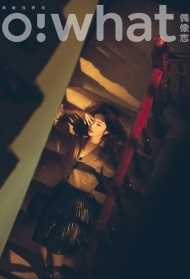 专业seo网站优化