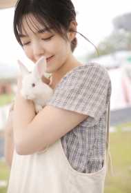 张家口网站优化公司