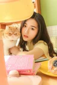 关键词seo搜索排名优化