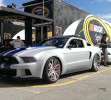 Mustang Need for speed