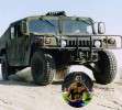3 Givanildo Vieira “Hulk”/Hummer militar