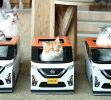 Esto es de fuera de USA, de Japón, concretamente, pero los amantes de los gatos podrían pedir algo así. Nissan promueve al Kei Car Dayz en una cadena de cafés para dueños de gatos, quienes reciben de regalo una caja en forma del micro auto. Los michis parecen muy contentos.