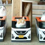Esto es de fuera de USA, de Japón, concretamente, pero los amantes de los gatos podrían pedir algo así. Nissan promueve al Kei Car Dayz en una cadena de cafés para dueños de gatos, quienes reciben de regalo una caja en forma del micro auto. Los michis parecen muy contentos.