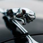 Jaguar, gato saltando. El felino que coronaba los autos de Jaguar también ha desaparecido por regulaciones de seguridad de peatones. El perfil ahora se usa como logo en algunas partes como la cajuela. La escultura data de los años 30.